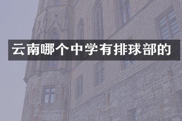 云南哪个中学有排球部的