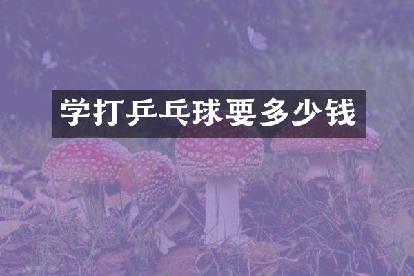 学打乒乓球要多少钱