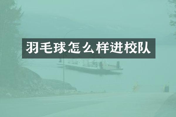 羽毛球怎么样进校队