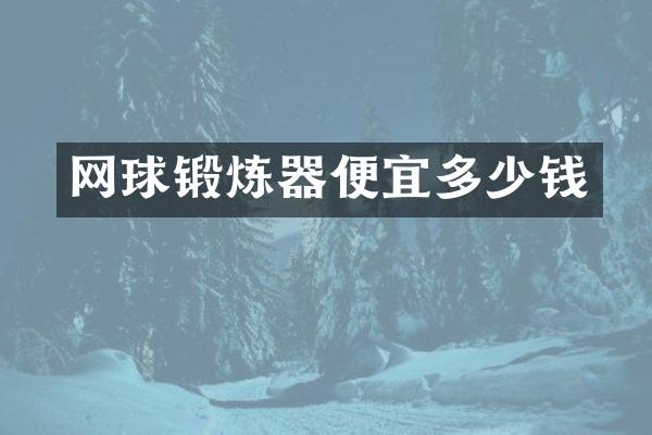 网球锻炼器便宜多少钱