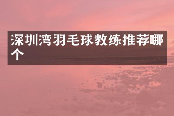 深圳湾羽毛球教练推荐哪个