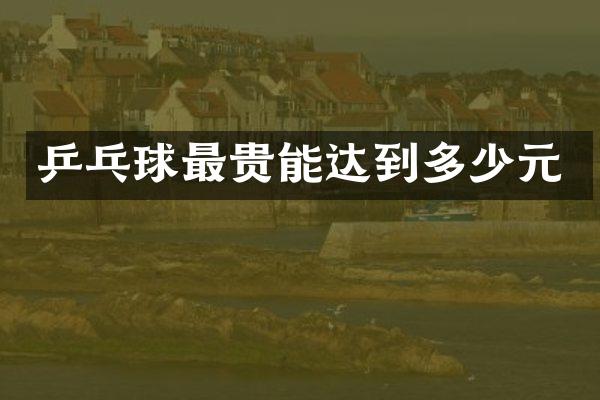 乒乓球最贵能达到多少元