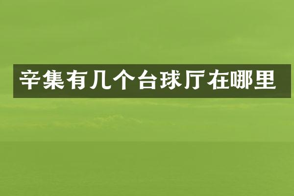 辛集有几个台球厅在哪里