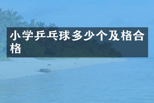 小学乒乓球多少个及格合格