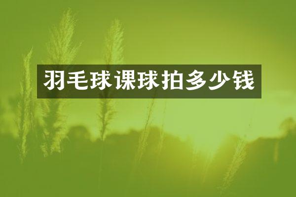 羽毛球课球拍多少钱