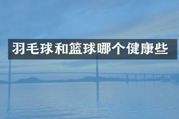 羽毛球和篮球哪个健康些
