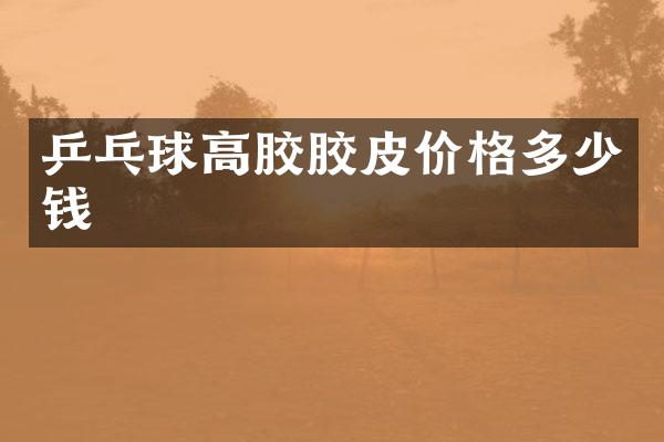 乒乓球高胶胶皮价格多少钱