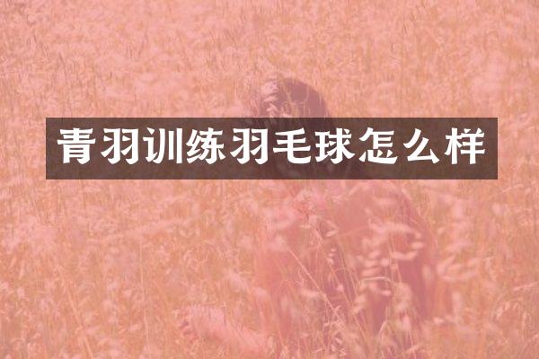 青羽训练羽毛球怎么样