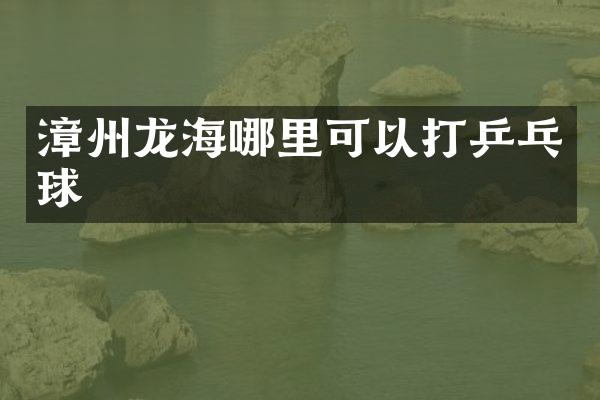 漳州龙海哪里可以打乒乓球