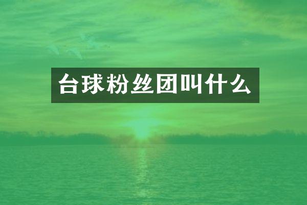 台球粉丝团叫什么