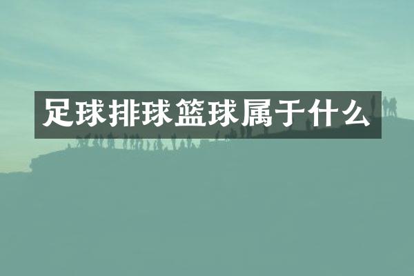 足球排球篮球属于什么