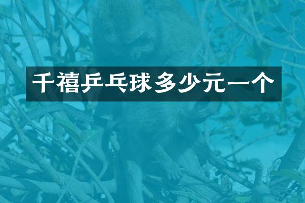 千禧乒乓球多少元一个