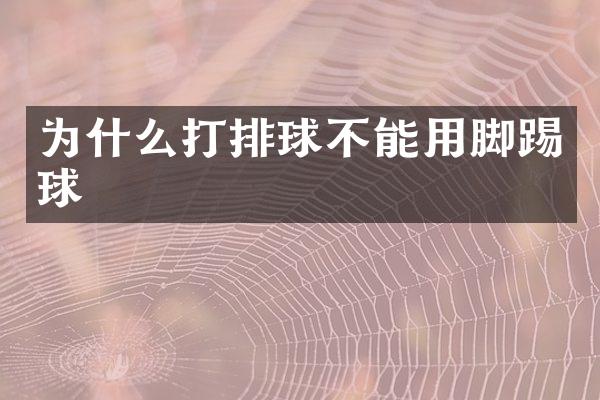 为什么打排球不能用脚踢球