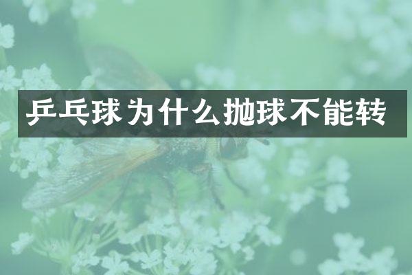 乒乓球为什么抛球不能转