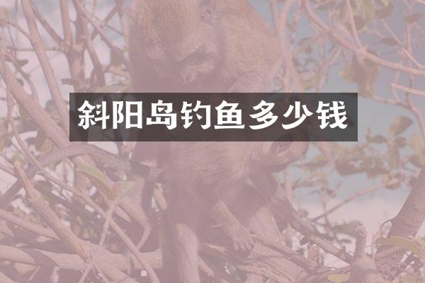 斜阳岛钓鱼多少钱