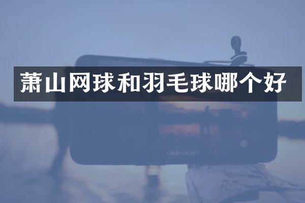 萧山网球和羽毛球哪个好