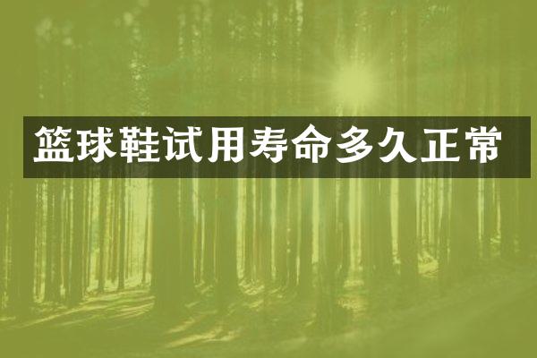 篮球鞋试用寿命多久正常