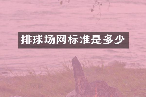 排球场网标准是多少