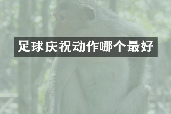 足球庆祝动作哪个最好