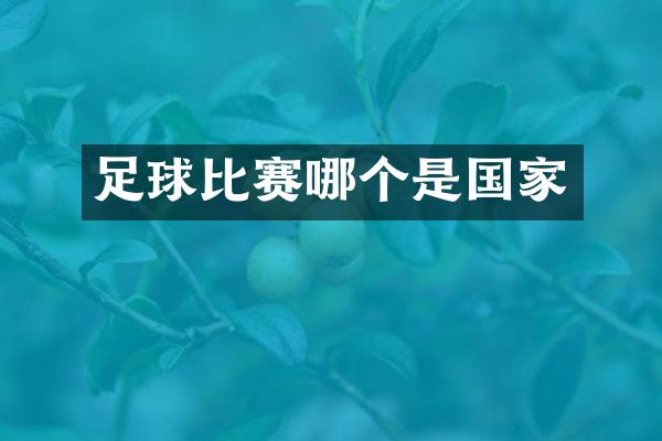 足球比赛哪个是国家