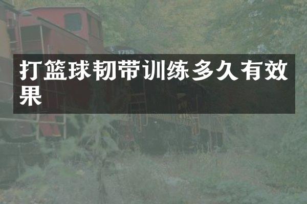 打篮球韧带训练多久有效果