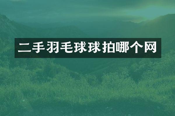 二手羽毛球球拍哪个网