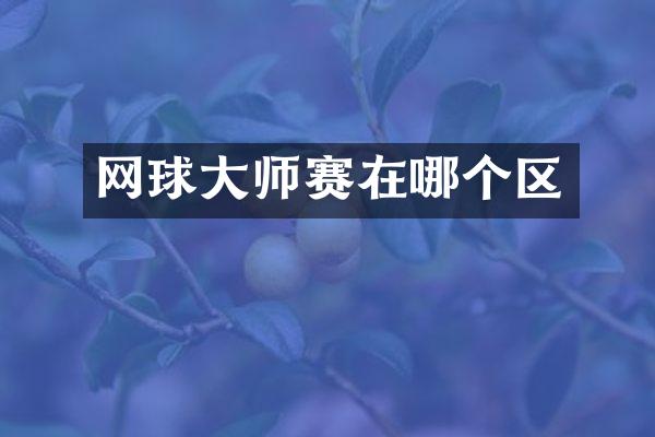 网球大师赛在哪个区