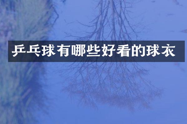 乒乓球有哪些好看的球衣
