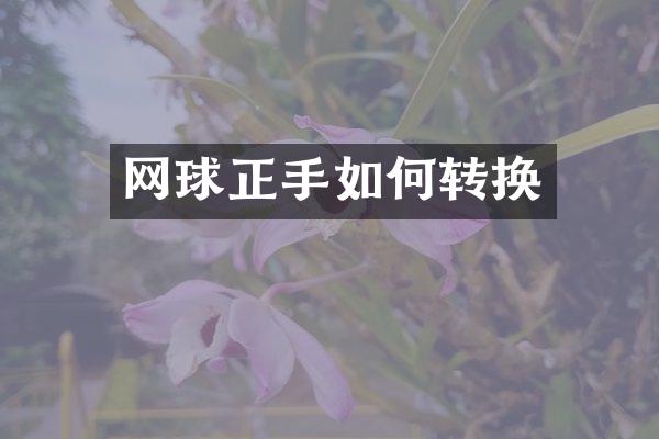 网球正手如何转换