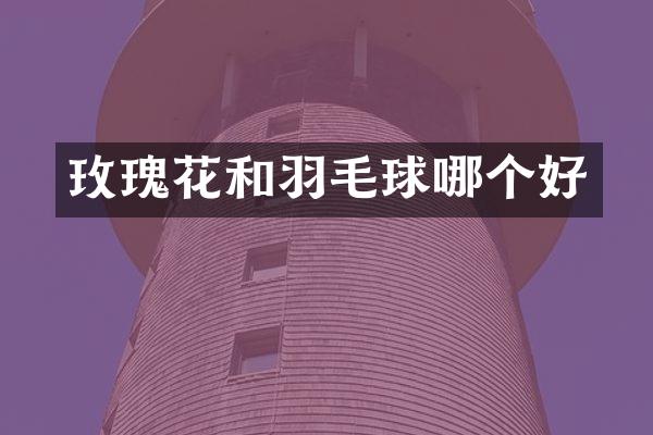 玫瑰花和羽毛球哪个好