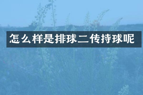 怎么样是排球二传持球呢