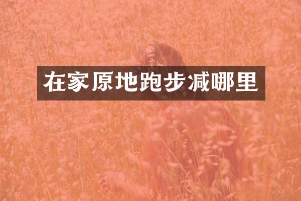 在家原地跑步减哪里
