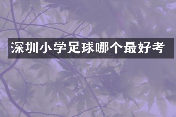 深圳小学足球哪个最好考