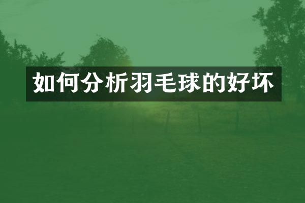 如何分析羽毛球的好坏