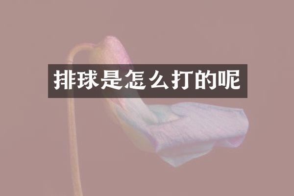 排球是怎么打的呢