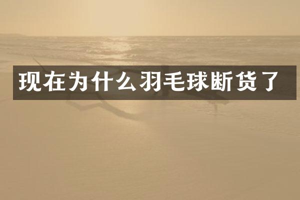 现在为什么羽毛球断货了