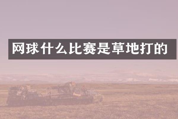 网球什么比赛是草地打的