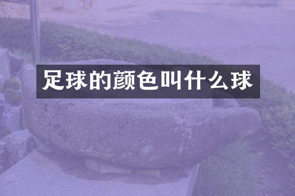 足球的颜色叫什么球