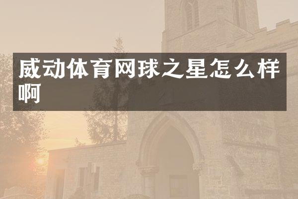 威动体育网球之星怎么样啊