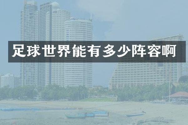 足球世界能有多少阵容啊
