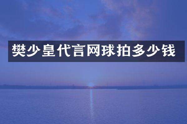 樊少皇代言网球拍多少钱