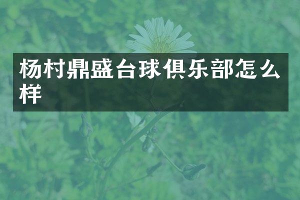 杨村鼎盛台球俱乐部怎么样