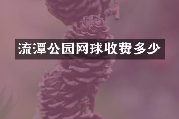 流潭公园网球收费多少