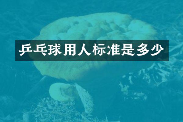 乒乓球用人标准是多少