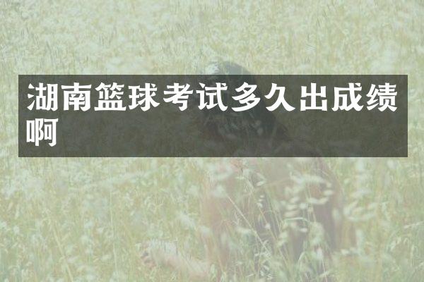 湖南篮球考试多久出成绩啊