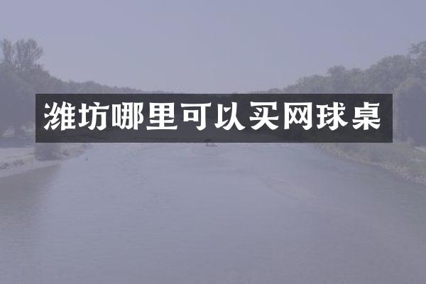 潍坊哪里可以买网球桌