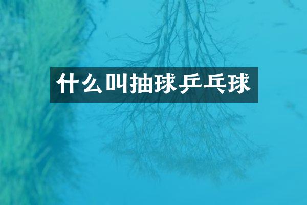 什么叫抽球乒乓球