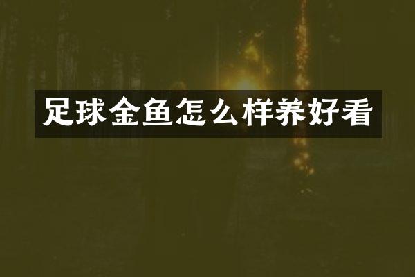 足球金鱼怎么样养好看
