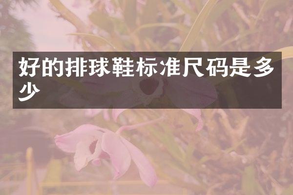 好的排球鞋标准尺码是多少