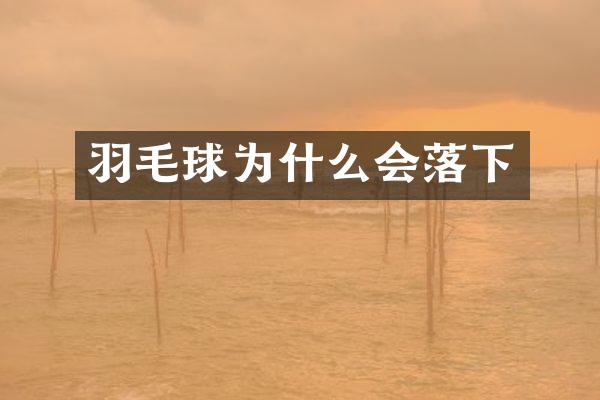 羽毛球为什么会落下